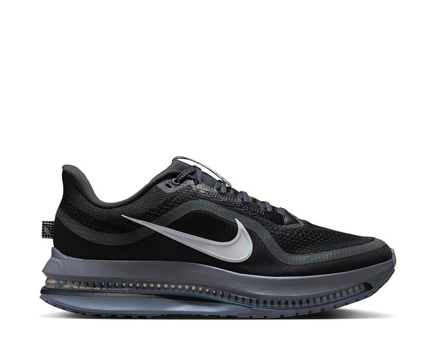 Nike Pegasus Premium "Anthracite / Pure Platinum"