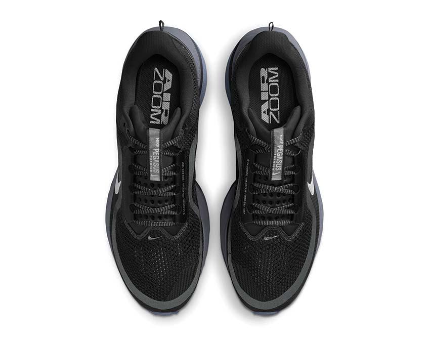 Nike Pegasus Premium "Anthracite / Pure Platinum"
