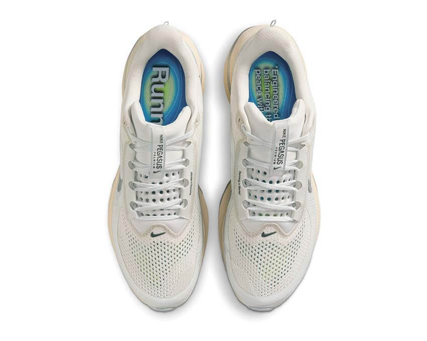 Nike Pegasus Premium "Running Is Mental"